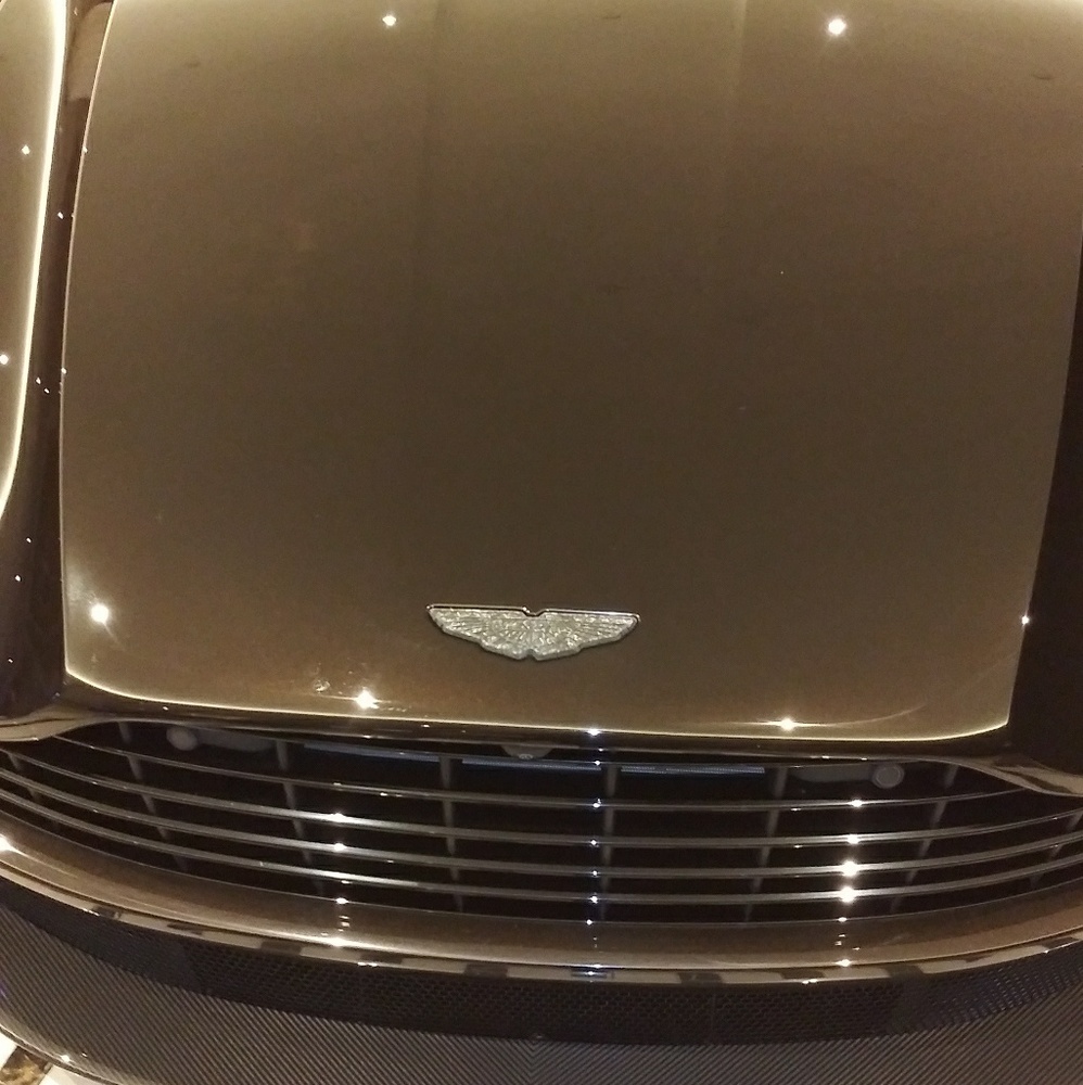 Meet your Posher, Annette